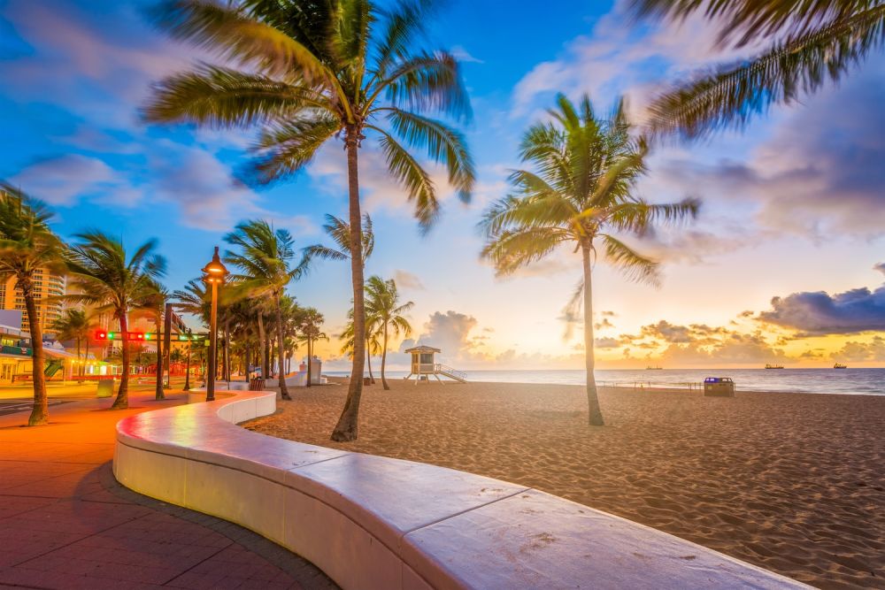 Sunrise at Fort Lauderdale beach, palm trees sway lightly on a sandy shore with a lifeguard tower in the distance.